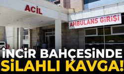 İncir bahçesinde silahlı kavga!