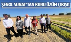 Şenol Sunat’tan kuru üzüm çıkışı!