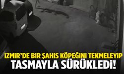 İzmir’de bir şahıs köpeğini tekmeleyip tasmayla sürükledi!