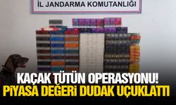 Kaçak tütün operasyonu! Piyasa değeri dudak uçuklattı