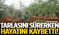 Tarlasını sürerken hayatını kaybetti!