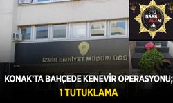 Konak'ta bahçede kenevir operasyonu; 1 tutuklama
