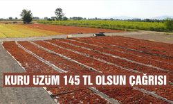 Kuru üzüm 145 TL olsun çağrısı
