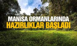 Manisa ormanlarında hazırlıklar başladı