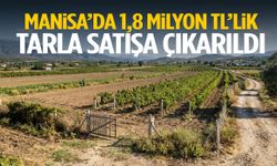 Manisa’da 1,8 milyon TL’lik tarla satılıyor!