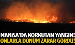 Manisa’da alevler yükseldi! Onlarca dönüm zarar gördü