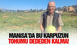 Manisa’da bu karpuzun tohumu dededen kalma!