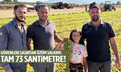 Manisa’da bu üzüm salkımını gören bir daha baktı! Tam 73 santimetre…