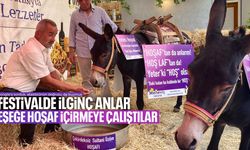 Manisa'da eşeğe hoşaf içirmeye çalıştılar