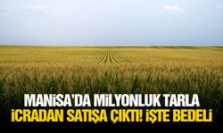 Manisa’da milyonluk tarla icradan satışa çıktı! İşte bedeli