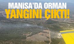 Manisa'da orman yangını çıktı! Kriz merkezi görevde
