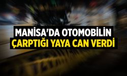 Manisa'da otomobilin çarptığı yaya can verdi