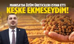 Manisa’da üzüm üreticileri isyan etti: “Keşke ekmeseydim…”