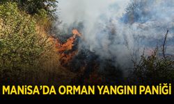 Manisa'da orman yangını paniği