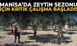 Manisa’da zeytin sezonu için kritik çalışma başladı!