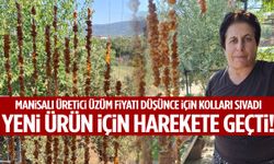 Manisalı üretici üzüm fiyatı düşünce kolları sıvadı… Yeni ürün için harekete geçti!
