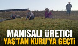Manisalı üretici yaştan kuruya geçti