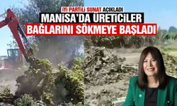 Manisalı üreticiler bağlarını söküyor!