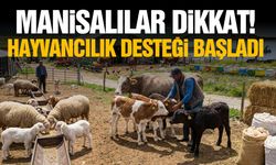 Manisalılar dikkat! Hayvancılık desteği başladı…