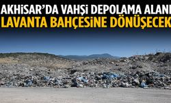 Akhisar’da vahşi depolama alanı lavanta bahçesine dönüşecek