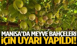 Manisa’da meyve bahçeleri için alarm!