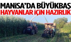 Manisa’da büyükbaş hayvanlar için hazırlık başladı!