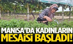 Manisa’da kadınların mesaisi başladı!