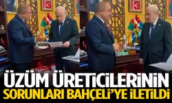 Üzüm üreticilerinin sorunları Bahçeli’ye iletildi