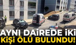 Aynı dairede 2 kişi ölü bulundu