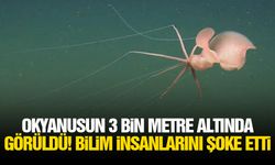 Okyanusun 3 bin metre altında görüldü! Bilim insanlarını şoke etti