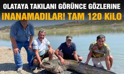 Oltaya takılanı görünce gözlerine inanamadılar: Tam 120 kilo!