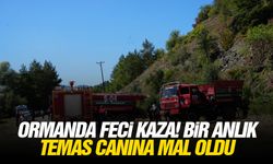 Ormanda feci kaza! Bir anlık temas canına mal oldu