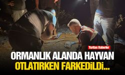 Ormanlık alanda hayvan otlatırken farkedildi...