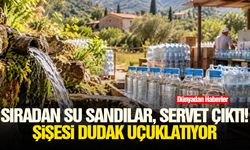 Sıradan su sandılar, servet çıktı! Şişesi dudak uçuklatıyor