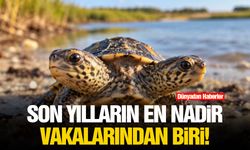 Son yılların en nadir vakalarından biri!