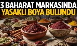3 baharat markasında yasaklı boya bulundu