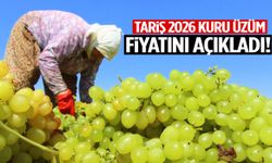 TARİŞ 2026 kuru üzüm alım fiyatını açıkladı!