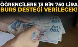 Öğrencilere 13 bin 750 lira burs desteği verilecek!