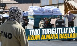 TMO Turgutlu'da kuru üzüm alımına başladı