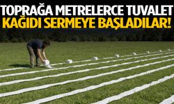 Toprağa metrelerce tuvalet kağıdı sermeye başladılar!