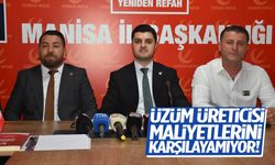 Üzüm üreticisi maliyetlerini karşılayamıyor!
