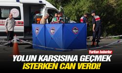 Yolun karşısına geçmek isterken can verdi!