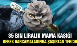 35 bin liraya mama kaşığı! Bebek harcamalarında şaşırtan tercih