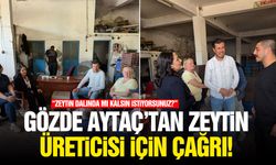 Gözde Aytaç’tan zeytin üreticisi için çağrı!