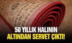 50 yıllık halının altından servet çıktı!