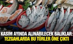 Kasım ayında alınabilecek balıklar: Tezgahlarda bu türler öne çıktı