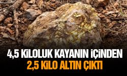 4,5 kiloluk kayanın içinden 2,5 kilo altın çıktı
