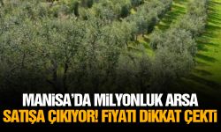 Manisa’da milyonluk arsa satışa çıkıyor! Fiyatı dikkat çekti