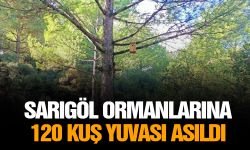 Sarıgöl ormanlarına 120 kuş yuvası asıldı
