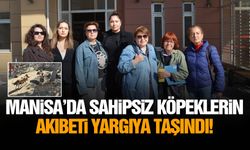 Manisa’da sahipsiz köpeklerin akıbeti yargıya taşındı!